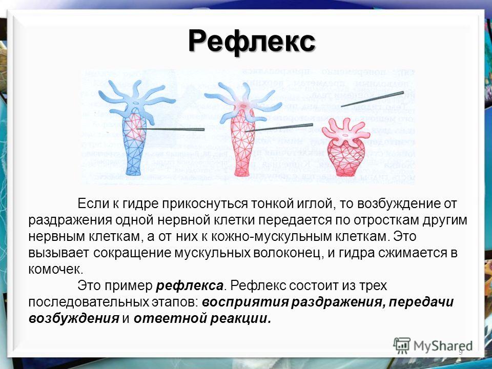 Кракен супернет маркет
